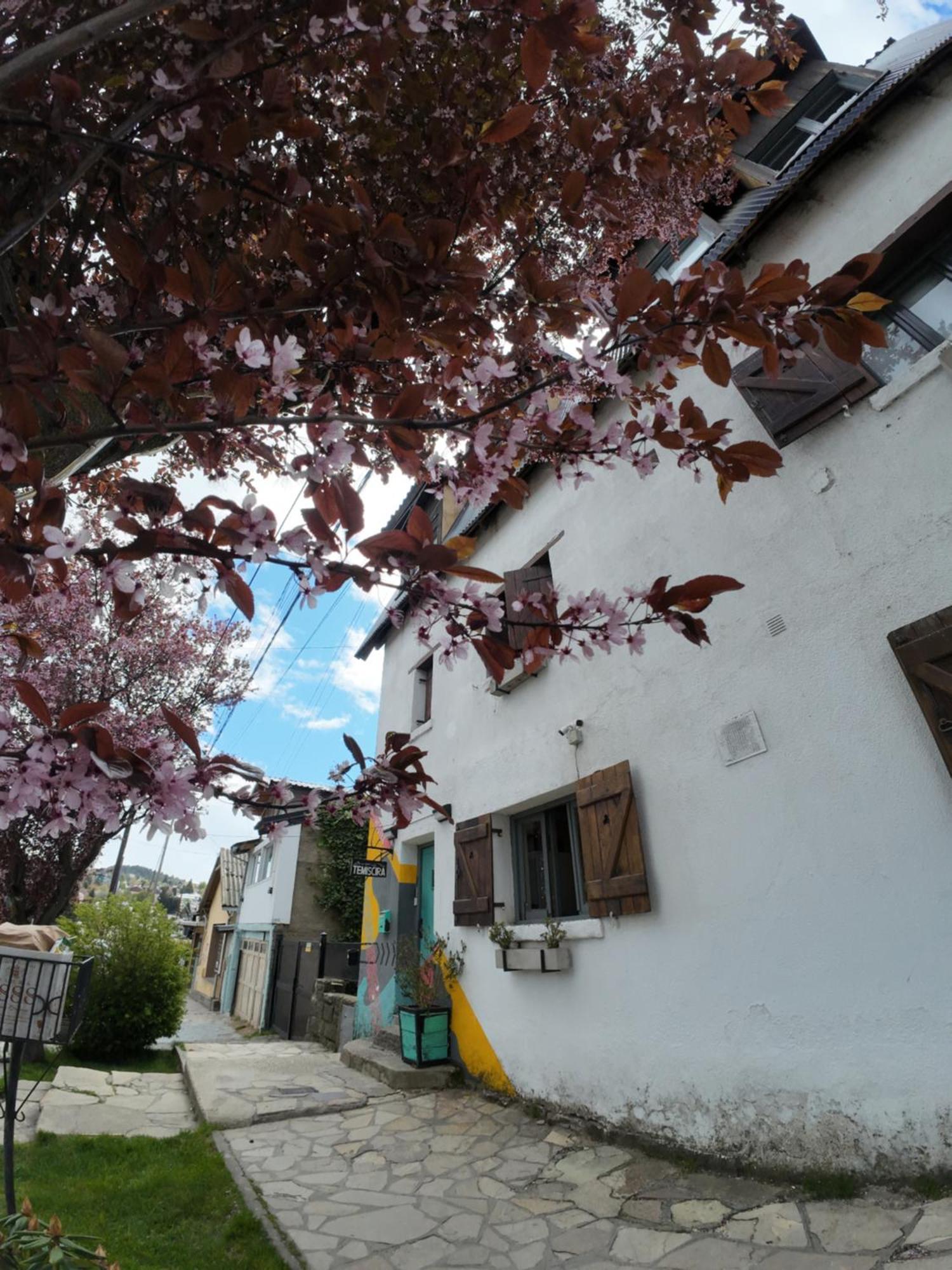 Temiscira Hostel 산카를로스데바릴로체 외부 사진