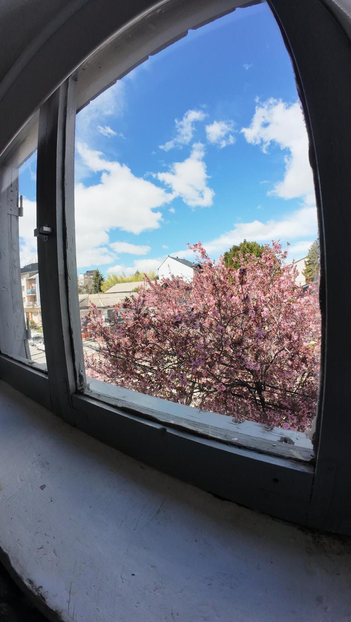Temiscira Hostel 산카를로스데바릴로체 외부 사진